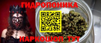 spice Чапаевск