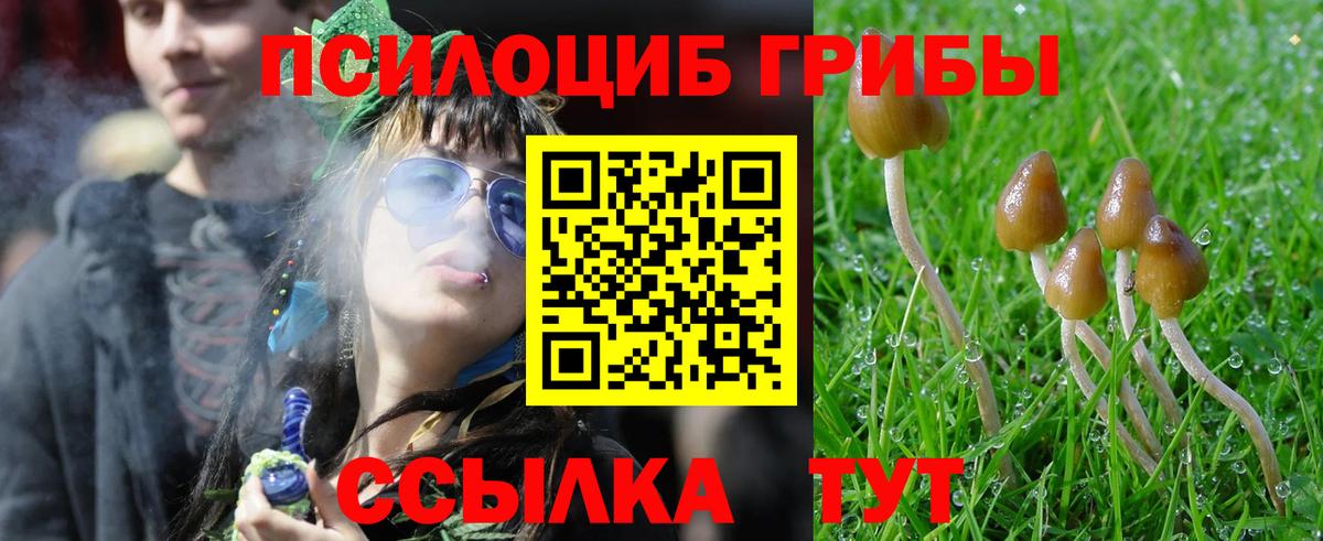 Мичуринск  купить закладку  Вход с VPN  Галлюциногенные грибы MAGIC MUSHROOMS  Псилоцибиновые грибы мухоморы 